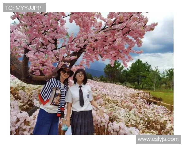 探索哈德森的魅力与历史:一段关于自然与人文的旅程 探索哈德森的魅力与历史:一段关于自然与人文的旅程